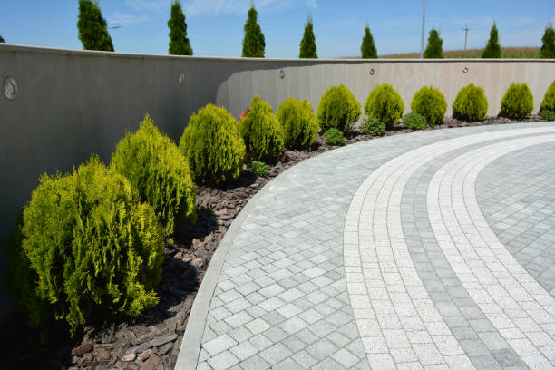 Reasons to Select Us for Your Driveway Paving Requirements in Plains, MT